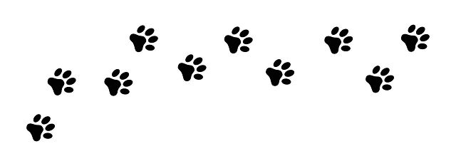 k 4241097 pfotenabdruck fussspur hund katze pfote abdruck kostenlos vektor